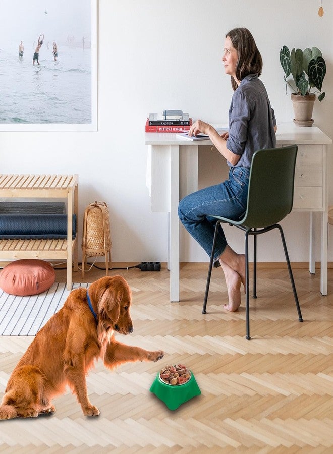 ويستيرن إرا وعاء طعام للحيوانات الأليفة من ويسترن إيرا، مصنوع من الفولاذ والبلاستيك، بأربعة زوايا - وعاء تفاعلي لتغذية الحيوانات الأليفة، يعزز الأكل الصحي، ويحفز العقل، مصمم خصيصًا للأكل الصحي، تصميم ممتع للقطط والكلاب، مثالي لجميع الحيوانات الأليفة - Image 5